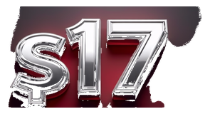 s17 logo